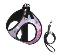 Pink Flower And Blue Dragonfly Print Harness Leash Set For Cats And Dogs, Reflective Adjustable, Soft Breathable Mesh Vest With Escape-Proof Lead, For Small Pets And Kitten Puppies