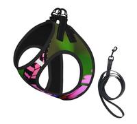 Pink Flower Purple Butterfly Printing Dog Summer Harness With Leash Set,Adjustable And Reflective Step-In Puppy Pet Vest Harnesses