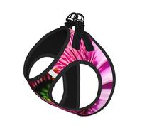 Pink Flower Tropical Plant 1 Print Step in Dog Harness and Leash Set,Adjustable Reflective Harness for Small Dogs Cats
