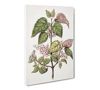 Pink Flowering Flowers By Sarah Featon Canvas Print | Gallery Wrapped 30mm Frame Wall Art | 24x16 inches | Ready to Hang | Retro Floral Picture | Living Room Bedroom Lounge Office