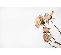 Pink flowers-7000-Piece Wooden Puzzle - Challenging Family Game 14 years+