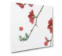 Pink Flowers & Thorns Canvas Print | Gallery Wrapped 30mm Frame Wall Art | 20x20 inches | Ready to Hang | Modern Floral Picture | Living Room Bedroom Lounge Office