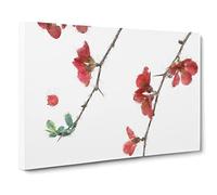 Pink Flowers & Thorns Canvas Print | Gallery Wrapped 30mm Frame Wall Art | 24x16 inches | Ready to Hang | Modern Floral Picture | Living Room Bedroom Lounge Office
