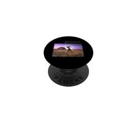 Pink Floyd A Collection of Great Dance Songs PopSockets Adhesive PopGrip