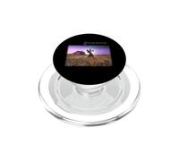 Pink Floyd A Collection of Great Dance Songs PopSockets PopGrip for MagSafe