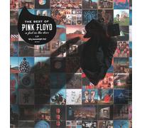 Pink Floyd - A Foot In The Door: The Best Of Pink Floyd (Remastered) - 2 Vinyl