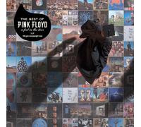 Pink Floyd - A Foot In The Door: The Best Of Pink Floyd (Remastered) - 2 Vinyl