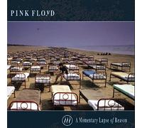 Pink Floyd - A Momentary Lapse of Reason