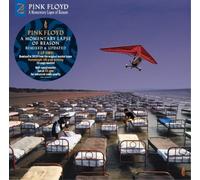 Pink Floyd A Momentary Lapse of Reason (2019 Remix) (Vinyl) (US IMPORT)