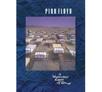 Pink Floyd - a Momentary Lapse of Reason: A Momentary Lapse of Reason Songbook