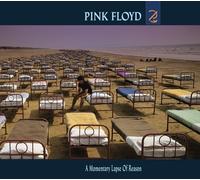 A Momentary Lapse Of Reason