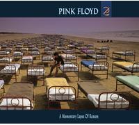 Pink Floyd A Momentary Lapse of Reason CD NEW
