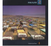 Pink Floyd – A Momentary Lapse of Reason – Vinyl