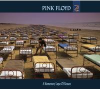 Unknown - PINK FLOYD - A MOMENTARY LAPSE OF REASON (REMASTERED) (1 LP)