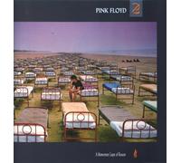 Pink Floyd - A momentary lapse of reason [VINYL]