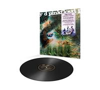 A Saucerful of Secrets