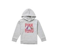 Pink Floyd Allseeing Prism Youth Kids Pull-Over Hoodie, Athletic Heather in Grey | Size: 7-8 Years Pink Floyd Grey 7-8 Years