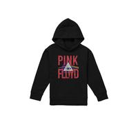 Pink Floyd Allseeing Prism Youth Kids Pull-Over Hoodie, Black | Size: 5-6 Years Pink Floyd Black 5-6 Years