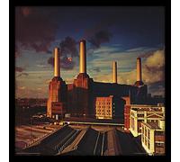Pink Floyd Animals 12" Album Cover Framed Print, MDF, Multi-Colour, 32 x 32 x 1.5 cm