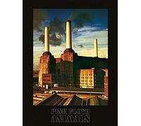 PINK FLOYD ART PRINT ANIMALS POSTER