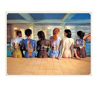 Pink Floyd Canvas Print, Cotton, Multi-Colour, 3.20 x 60.00 x 80.00 cm
