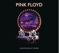 Pink Floyd - Delicate Sound Of Thunder [2 CD]