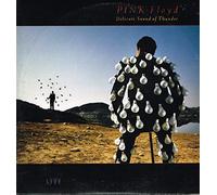 Pink Floyd - Delicate sound of thunder 2 (USSR, 1988) / Vinyl record [Vinyl-LP]