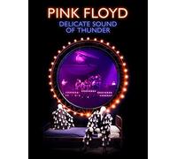 Pink Floyd: Delicate Sound Of Thunder