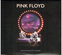 Pink Floyd - Delicate Sound Of Thunder (2019 Remix) [Live]