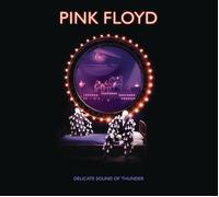 Delicate Sound Of Thunder – 2CD – Sony Music