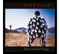 Pink Floyd Delicate Sound of Thunder Framed Classic Album Sleeve Memorabilia, Multi-Colour,12-Inch