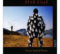 Pink Floyd - Delicate Sound Of Thunder [CD]