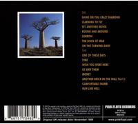 Pink Floyd - Delicate Sound of Thunder