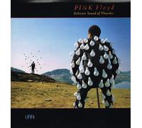 Pink Floyd - Delicate sound of thunder [VINYL]