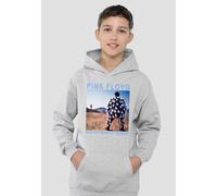 Pink Floyd Delicate Sound Youth Kids Pull-Over Hoodie, Athletic Heather Pink Floyd Grey 5-6 Years