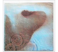 Pink Floyd - Meddle