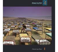 PINK FLOYD - A Momentary Lapse Of Reason [VINYL]