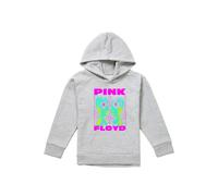 Pink Floyd Neon Division Bell Youth Kids Pull-Over Hoodie, Athletic Heather in Grey | Size: 12-13 Years Pink Floyd Grey 12-13 Years