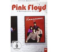 Pink Floyd - Pink Floyd: Ummagumma - The Ultimate Critical Review [DVD] [2012]