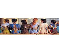 Pink Floyd Poster painted ladies textile new official Door Poster (53cm x 150cm)