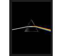 Pink Floyd their mortal remains Le livre officiel