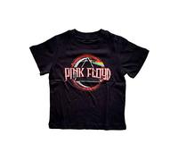 (4 Years, Black) Pink Floyd Toddler Vintage Dark Side of the Moon Tee
