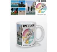Pink Floyd - Wish You Were Here Mug Pyramid International