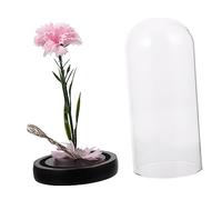 Pink Glass Dome Carnation Flower Lamp, LED Light with Solid Wood Base | Warm Atmosphere Decor for Birthdays and Mother's Day Permanent Artificial Bloom, Battery Operated