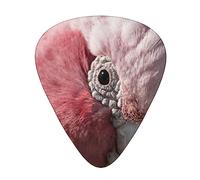 Pink Grey Rose-Breasted Cockatoo Printed Triangle Guitar Picks 12 Pcs Novelty Guitar Plectrums for Bass, Electric, Acoustic Guitar