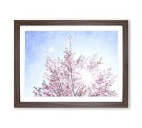Pink Japanese Cherry Tree In Spring Painting Modern Art Framed Print | A3 Walnut Framed Wall Art | Ready to Hang | Asian Floral Picture | Living Room Bedroom Lounge Office