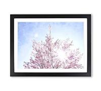 Pink Japanese Cherry Tree In Spring Painting Modern Art Framed Wall Art Print, Ready to Hang Picture for Living Room Bedroom Home Office Décor, Black A3 (46 x 34 cm)
