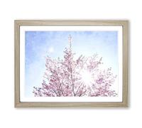 Pink Japanese Cherry Tree In Spring Painting Modern Art Framed Wall Art Print, Ready to Hang Picture for Living Room Bedroom Home Office Décor, Oak A3 (46 x 34 cm)