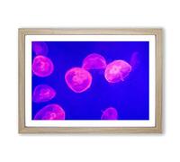 Pink Jellyfish Framed Print | A2 Oak Framed Wall Art | Ready to Hang | Modern Nature Picture | Living Room Bedroom Lounge Office