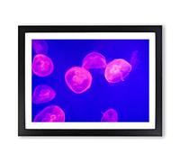 Pink Jellyfish Modern Art Framed Print | A4 Black Framed Wall Art | Ready to Hang | Modern Nature Picture | Living Room Bedroom Lounge Office